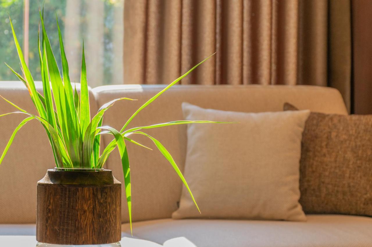 Hotel Osetia Garden Momchilgrad Εξωτερικό φωτογραφία